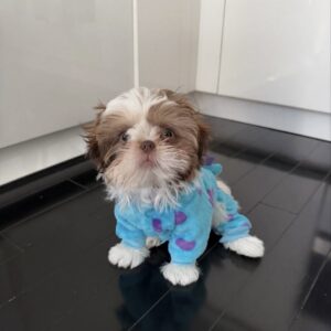 Molly
