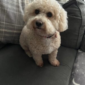Murphy